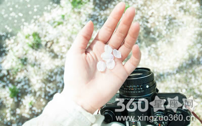 �����ڲ����˵���������