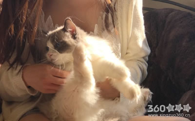 �����в��Ʊ�ͨ����Ф������Щ