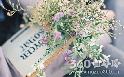 ��Ϊ˧���ܵ����� �����·�������