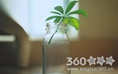 ��Ϊ˧���ܵ����� �����·�������