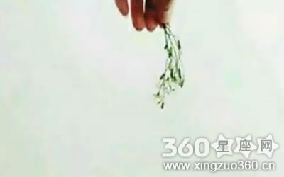 ʮ������Ů��ʲôƷ�ֵ�è