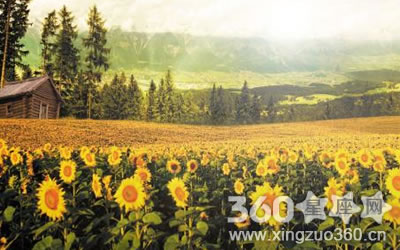 ��Щ��Ф�бȽ������ѷ�