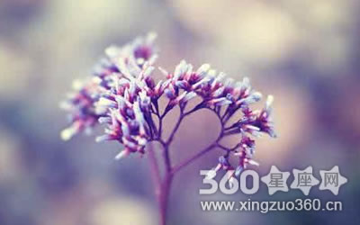 ���ǿȨ�����Ȼ��������������