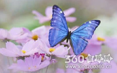 ���ǿȨ�����Ȼ��������������