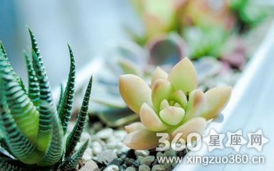 ��Щ�����������Լ�������