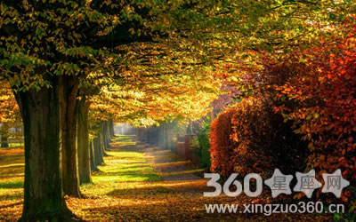 ���ӳ��Ӷ����˻��ܰ����������