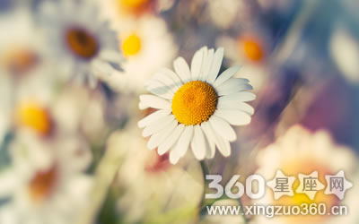 ���ӳ��Ӷ����˻��ܰ����������