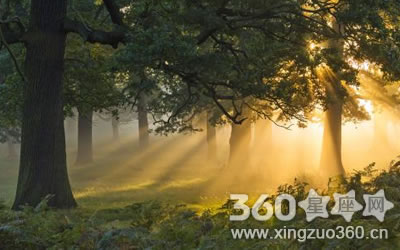 ��ʧ�����ǲ���ΪȻ����Ф����˭