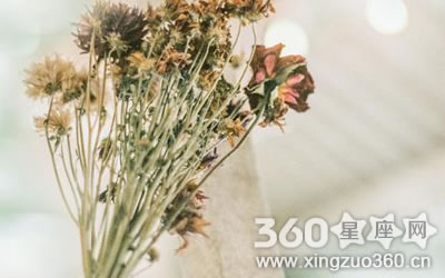 �޷���������Ů�Ѻ���Ƭ���̫�����Ф��