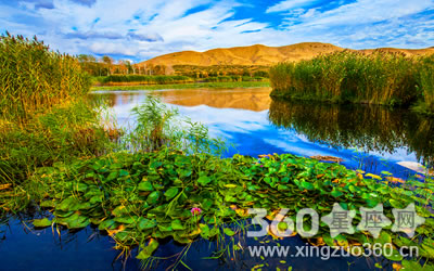 ���׽��ǲ��� ��˼���������