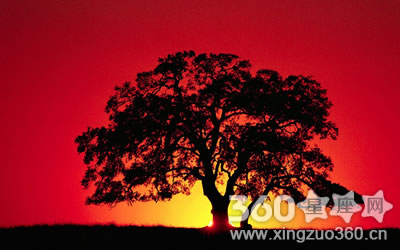 ��ͨ��������ʳ��������������ФŮ