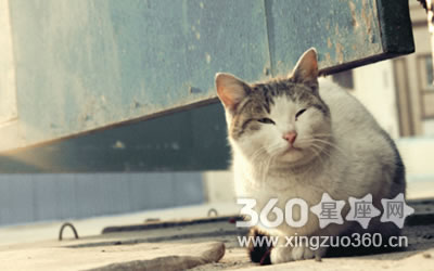 ְ�������������·ǵ�����