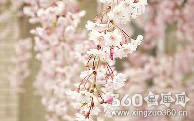 ÿ�ζ���Ҫ�õ�һ����������˭