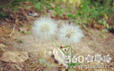 �䱩������£���ֻ����Щ����