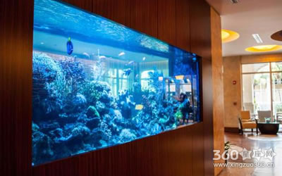 ��ͥ��׷�ˮ����Ѱڷ�λ����ô��