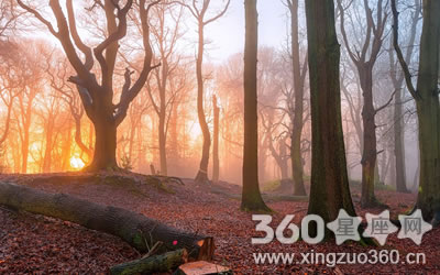 ����С����Ҳ�ế����޵�����