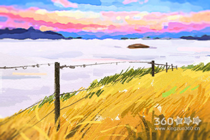 ����ס����ˮ�ᵼ�²����»�