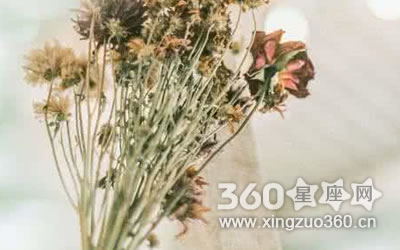 ��Ϊ�����ǰ���ķ�Ĺ��������