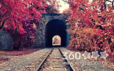 ��˼���� ��Щ����Ϲ�������ֲܿ�