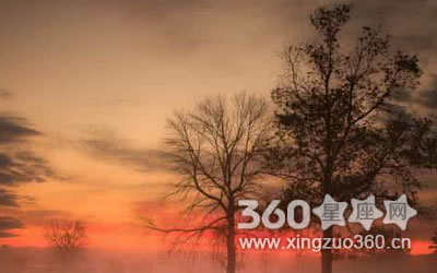 ��˼���� ��Щ����Ϲ�������ֲܿ�