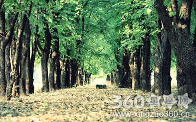 һ�ŵ�����ζ�����ϵ�ͷ�ߵ�����