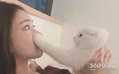 ������Ҳ������Ƣ������������