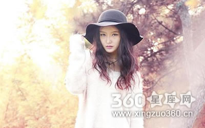 ���������� ��Щ����ƫҪ��