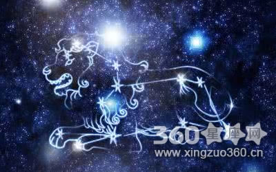 ����������ʲô��˼ ������������