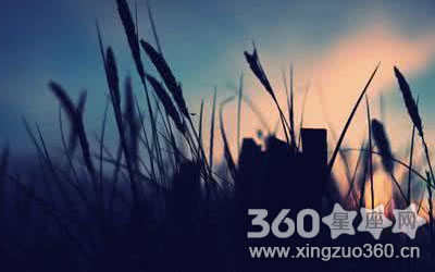 ʮ����������ΪʲôͻȻ����