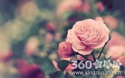 ��Щ����ֻҪ�¶����ľͻ��ж�