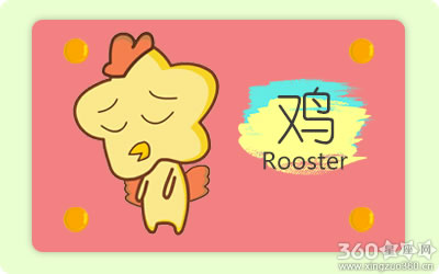 ����˵������̬�ȶ��ӵ������ФŮ