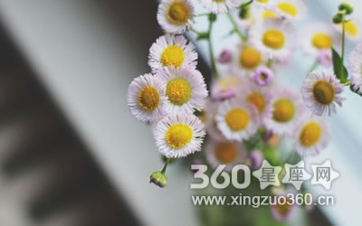 ռ����ǿ�����µ�����������Щ��