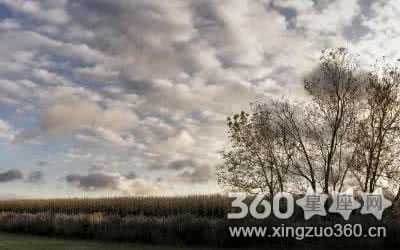 �����ܵ���ȴ�ܱ������Ļ�滵�����Ů