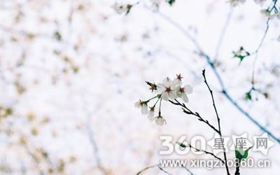 �������£���Щ����������