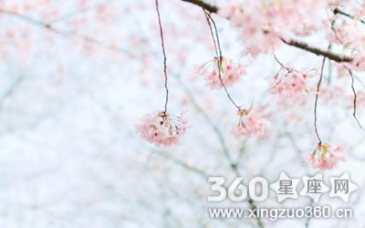 �������£���Щ����������