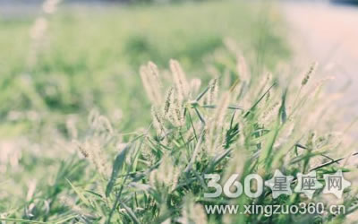 �������£���Щ����������