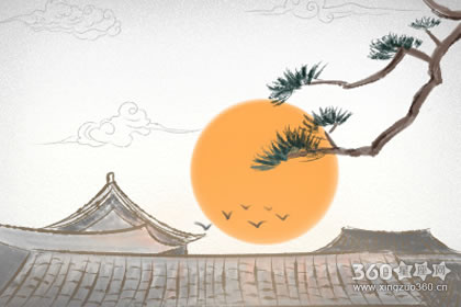 卧室中摆放这些植物能够旺财