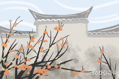 ��̨��ʲô���ܹ��������� �ͷŻ���