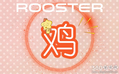 会想方设法提高自己工作能力的五大生肖