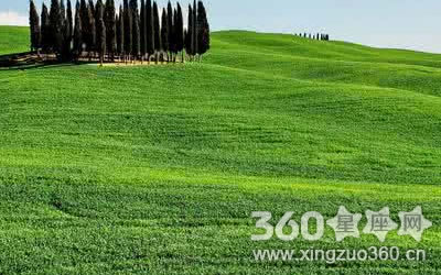 ʮ�������������Ȧ������ô��