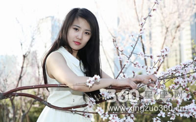 �������ʾ����⼸��������Ӳ