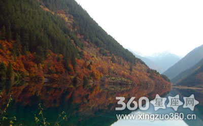 �̵���Щ������Ҫ��ֵ��������