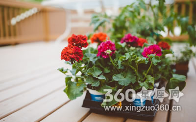 �������ϻ� ��Щ����Ů�����