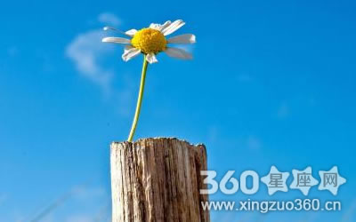 ����֮���ܿ�����ȥ��������Ф��