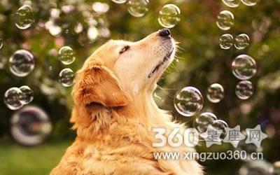 ���Բ��ᵹ׷����������Ů