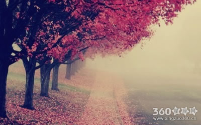 �ػ���ͼ��־ �������б�������Ф��