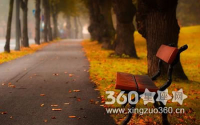 ע����µ�� �в�ס������