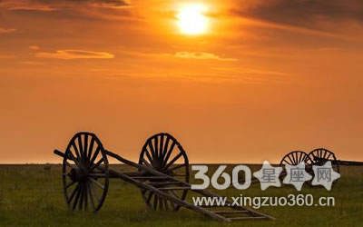 ע����µ�� �в�ס������