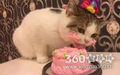 Ѻ��Ѻ����Щ���������� ������׬��