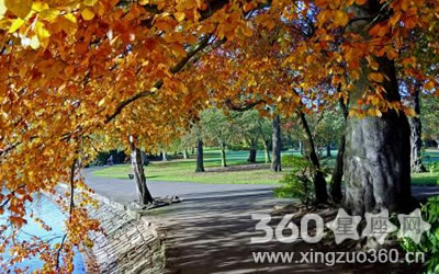 ��Щ����Ϊʲô������һ����ͱ�����Ϥ